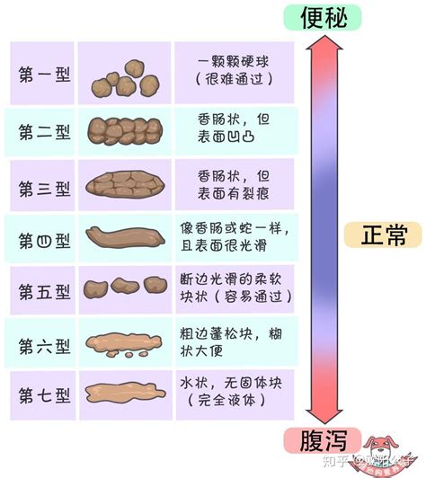 成形便